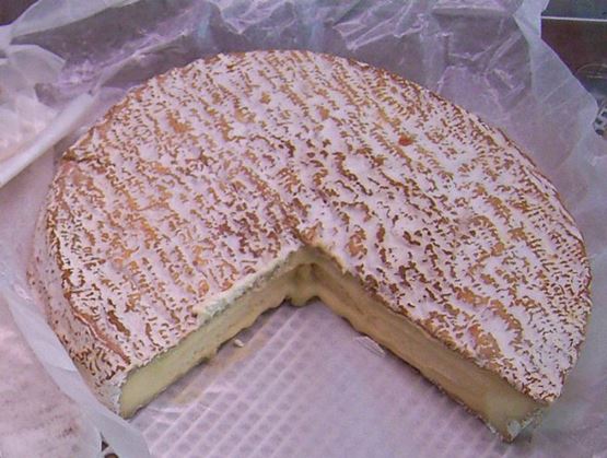 Striated bloomy-rind Brie de Melun, partially cut on wax paper