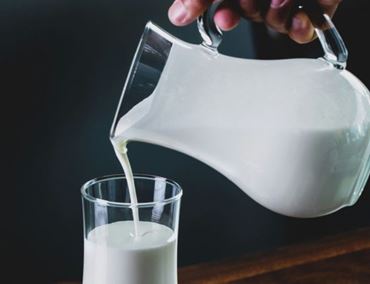 Milk focus 2025 trends