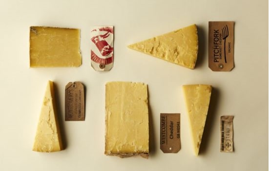 Some cheeses displayed with their labels.