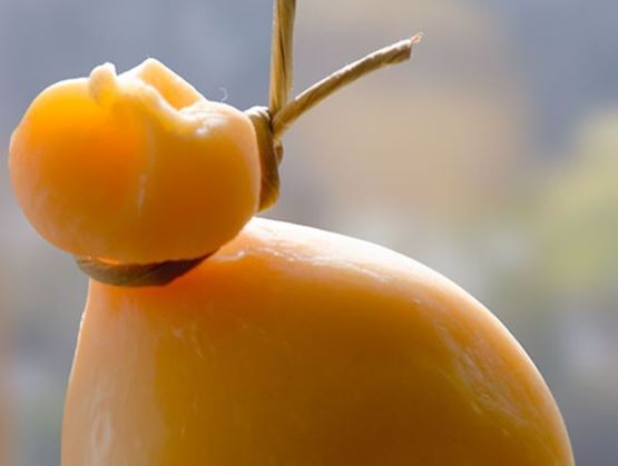 Provolone Valpadana cheese hanging by a string, with a smooth and glossy rind.