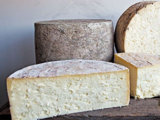 Traditional Staffordshire PDO English cheese
