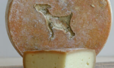 Fromage fermier à croûte lavée avec un motif en forme de chien incrusté sur la meule, présenté avec une part découpée montrant sa pâte lisse et claire.          Ask ChatGPT