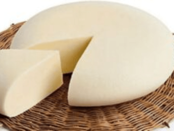 morceau de fromage sur dessous de plat circulaire sur fond blanc