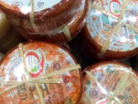 Fromages portugais Terrincho DOP emballés dans une croûte orangée, avec des étiquettes colorées et maintenus par des liens en raphia.
