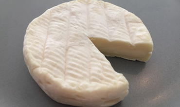 Morceau entamé de pérail sur fond gris