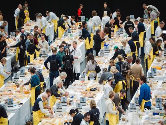Vue d’ensemble de la salle de dégustation des World Cheese Awards 2025, avec des dizaines de juges évaluant des centaines de fromages sur de longues tables numérotées.)