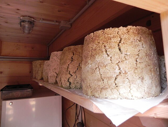 Morceau de ennstaler Steirerkäs dans une reserve