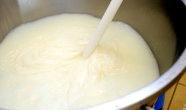 contenant en inox contenant du fromage pendant le processus de présure