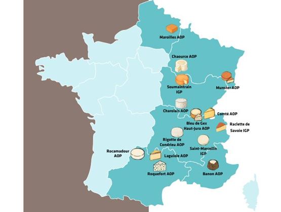 Carte bleiue sur fond blanc et marron de la France qui représente les fromages d'automne par région