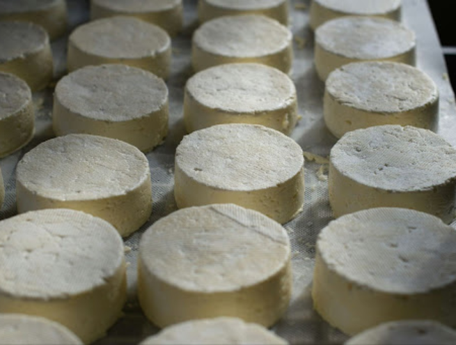 fromages blancs et rond posés sur une planche
