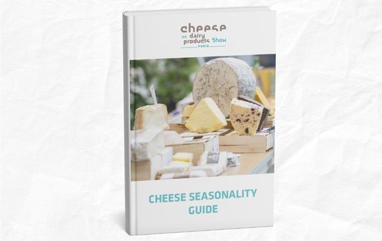 Content block sans CTA 1