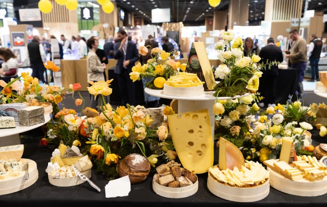 A table full of cheeses