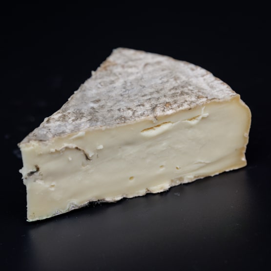 Saint-Nectaire Fermier AOP paille Caves Soron S.C.P.R. – Ets Fromages et Terroirs - France (12) 